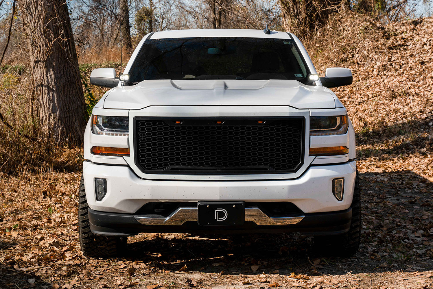 Diode Dynamics SS3 LED Ditch Light Kit for 2014-2019 Silverado/Sierra Pro White Combo