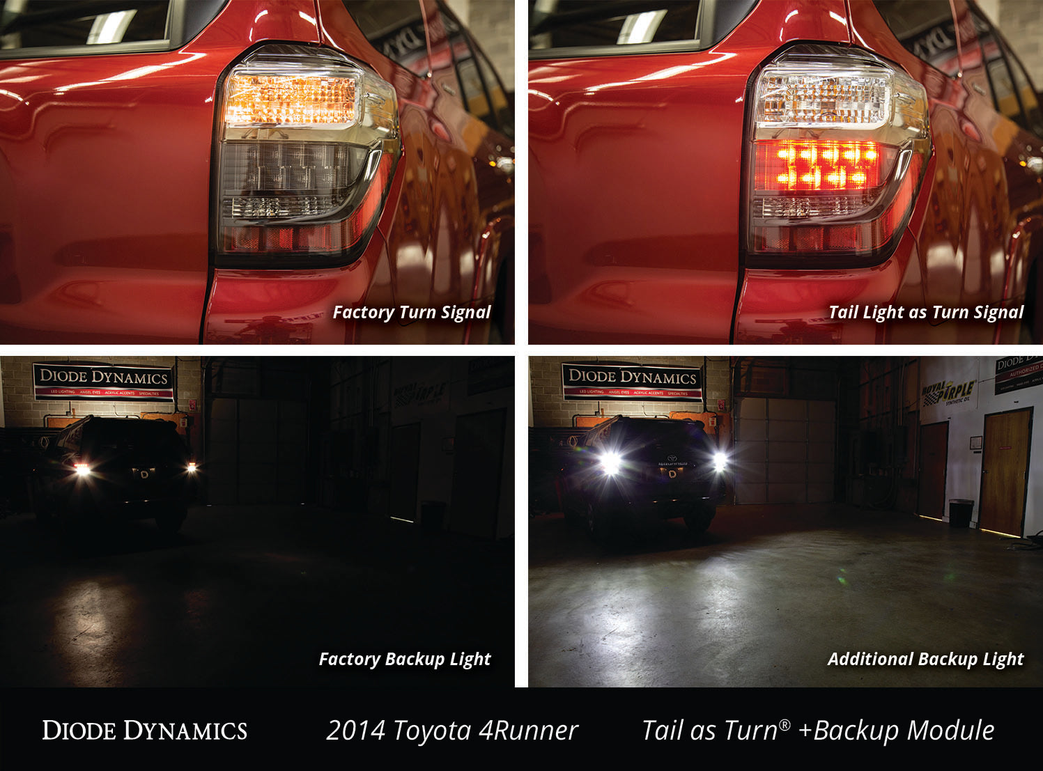 Diode Dynamics Tail as Turn® Module +Backup Module for 2014-2024 Toyota 4Runner