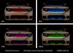 Diode Dynamics RGBW Grille Strip Kit 2pc
