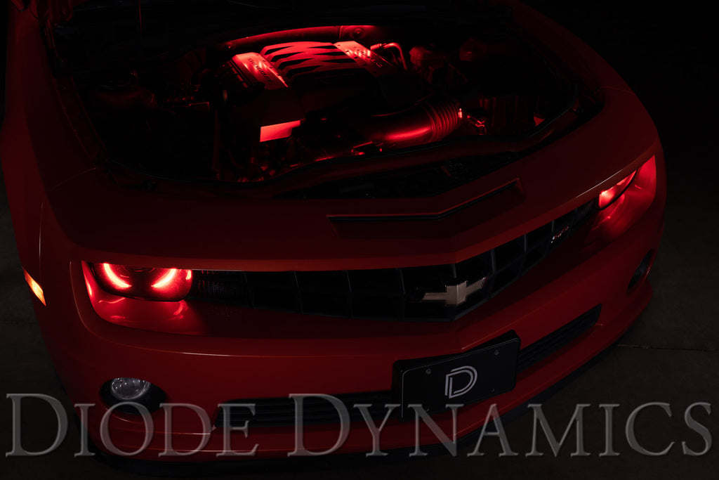 Diode Dynamics RGBW Engine Bay Strip Kit 4pc