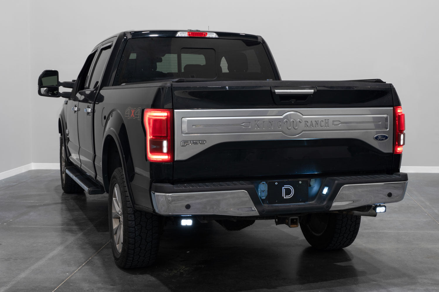 Diode Dynamics Stage Series Reverse Light Kit for 2015-2020 Ford F-150 C1 Pro