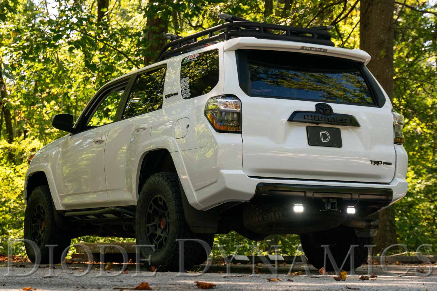 Diode Dynamics Stage Series Reverse Light Kit for 2010-2024 Toyota 4Runner C2 2.0 Pro