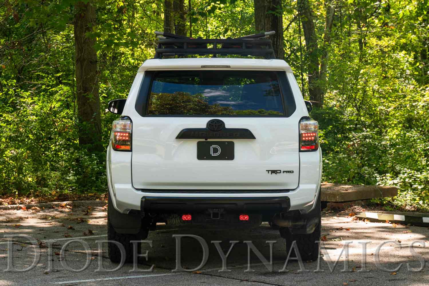 Diode Dynamics Stage Series Reverse Light Kit for 2010-2024 Toyota 4Runner C1 Sport