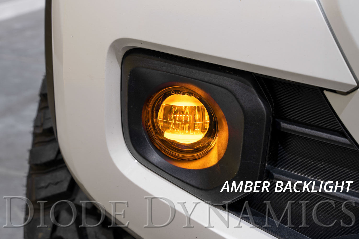 Diode Dynamics Elite Foglamp Type B White (pair)