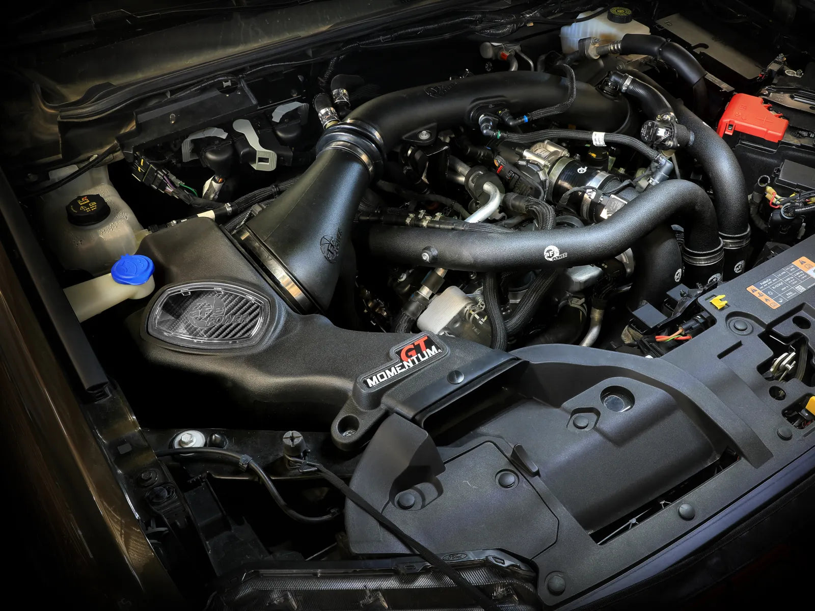 2024-25 Ford Ranger Raptor Momentum GT Cold Air Intake System (Pro 5R or Pro DRY S Filter) - Apollo Off-Road