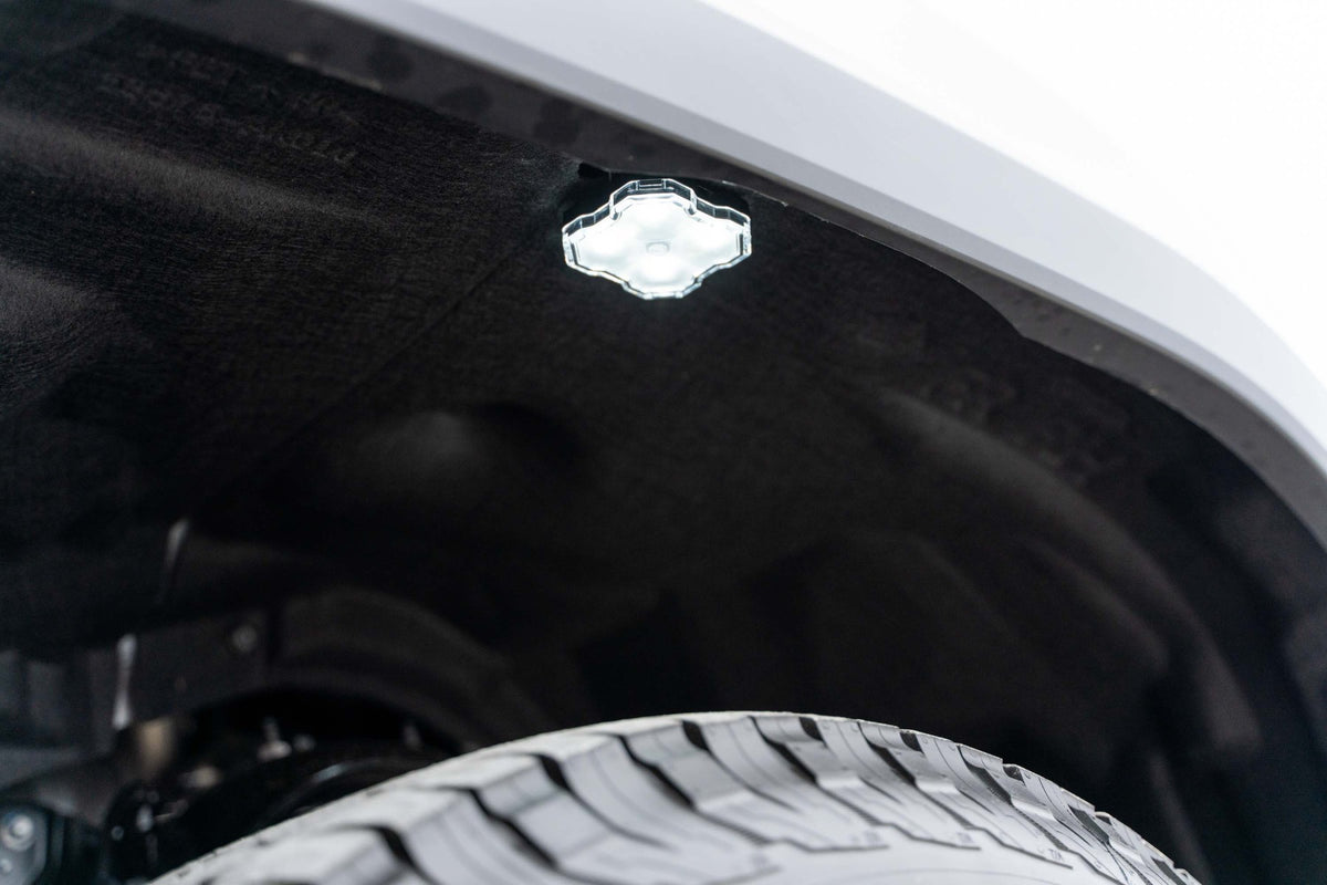 Diode Dynamics RGBW Rock Light Installer Magnet Mount Kit w/Controller (8-pack)