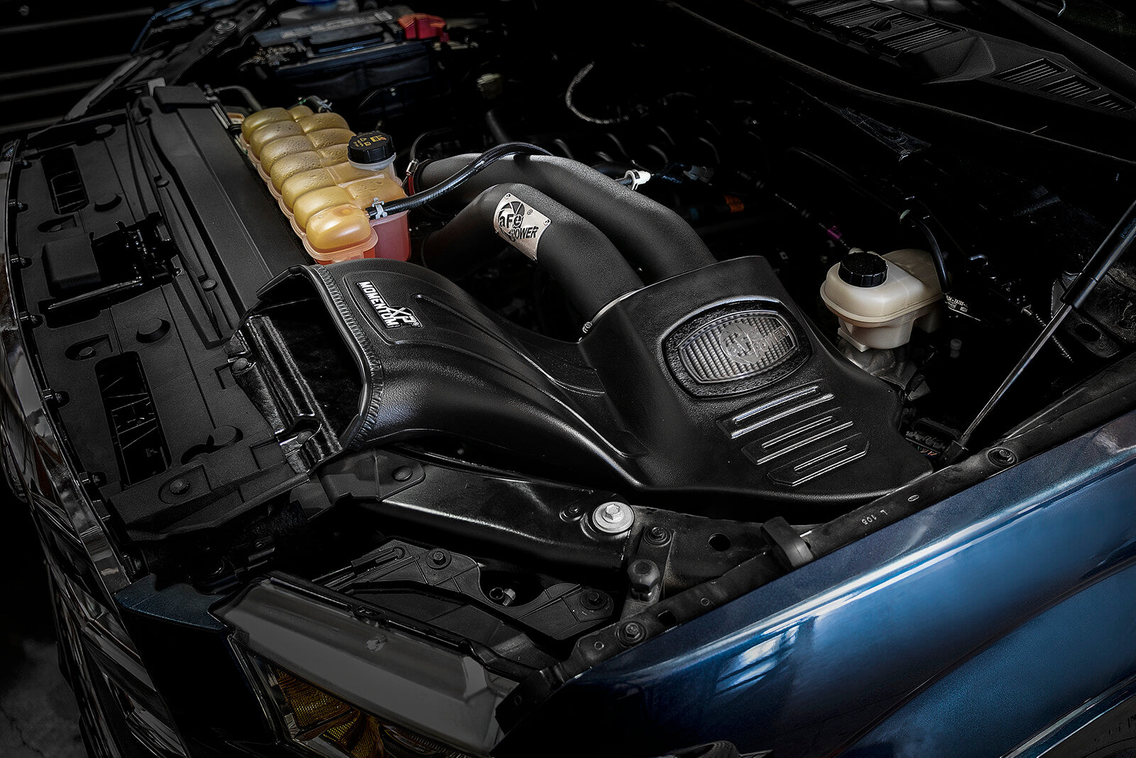 Momentum Xp Cold Air Intake System Ford F-150 15-20 V8-5.0L