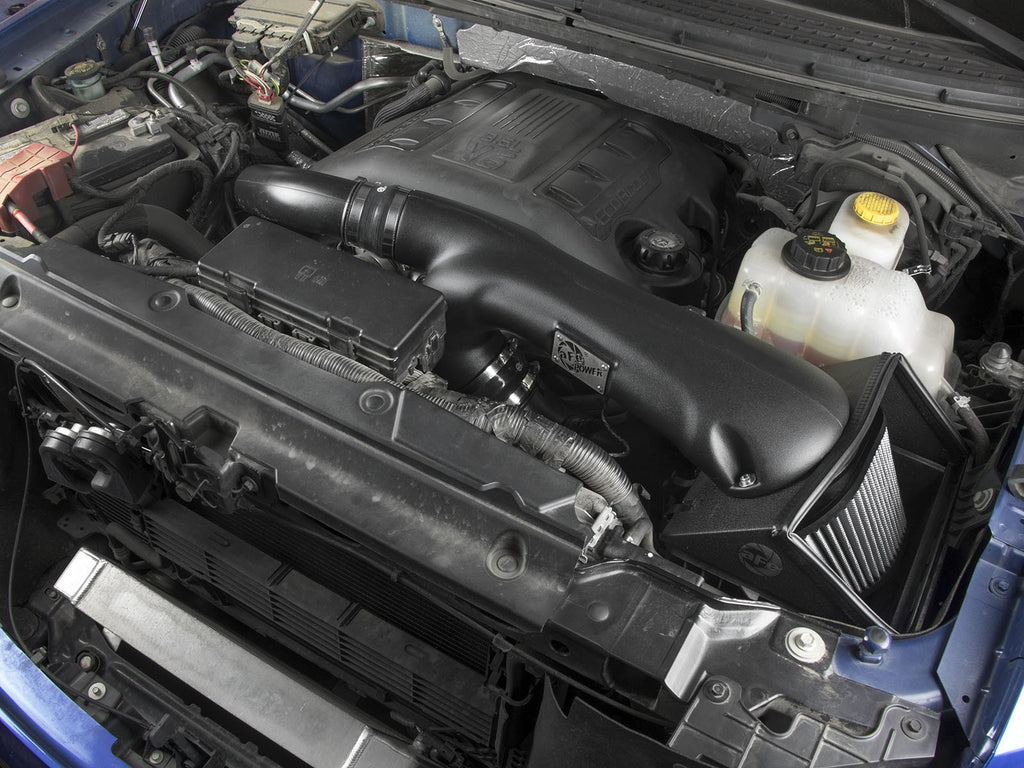 Rapid Induction Cold Air Intake System w/ Pro Dry S Filter Ford F-150 12-14 V6-3.5L Twin Turbo