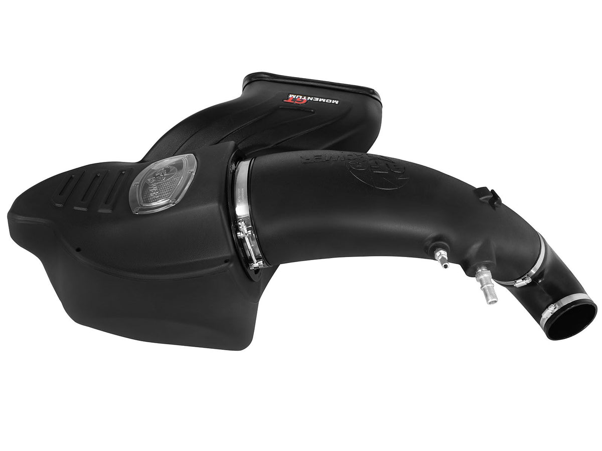 Momentum GT Cold Air Intake System w/ Pro Dry S Filter Ford F-150 15-20 V8-5.0L