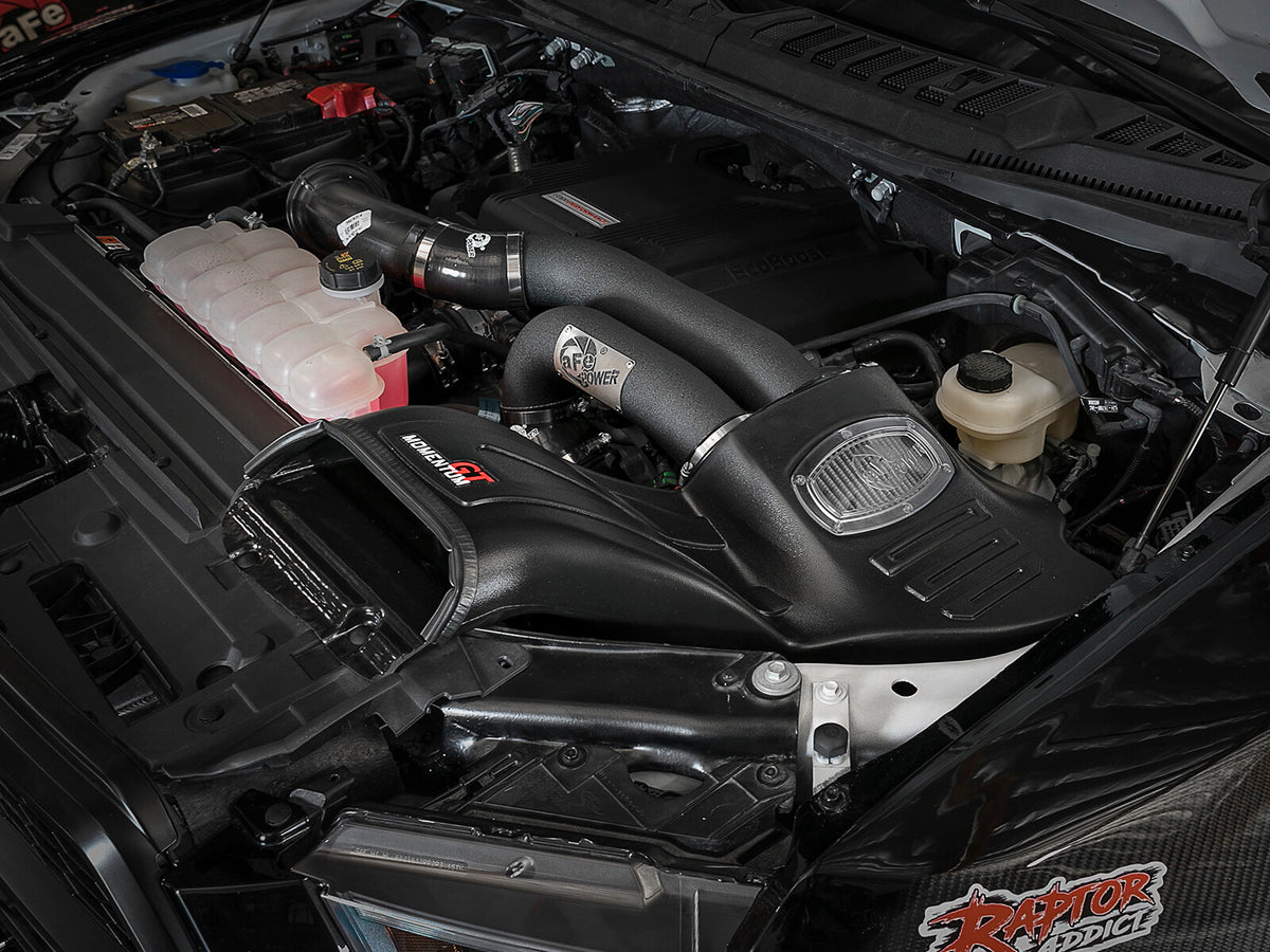 Momentum Xp Cold Air Intake System w/ Pro Dry S Filter Ford F-150 Raptor 17-20 V6-3.5L Twin Turbo