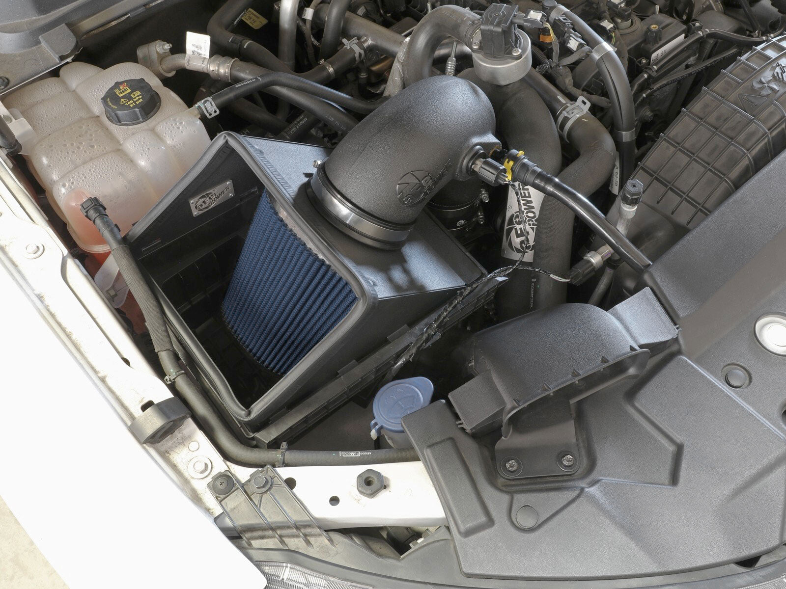 Rapid Induction Cold Air Intake System w/ Pro 5R Filter Ford Ranger 19-23 L4-2.3L Turbo