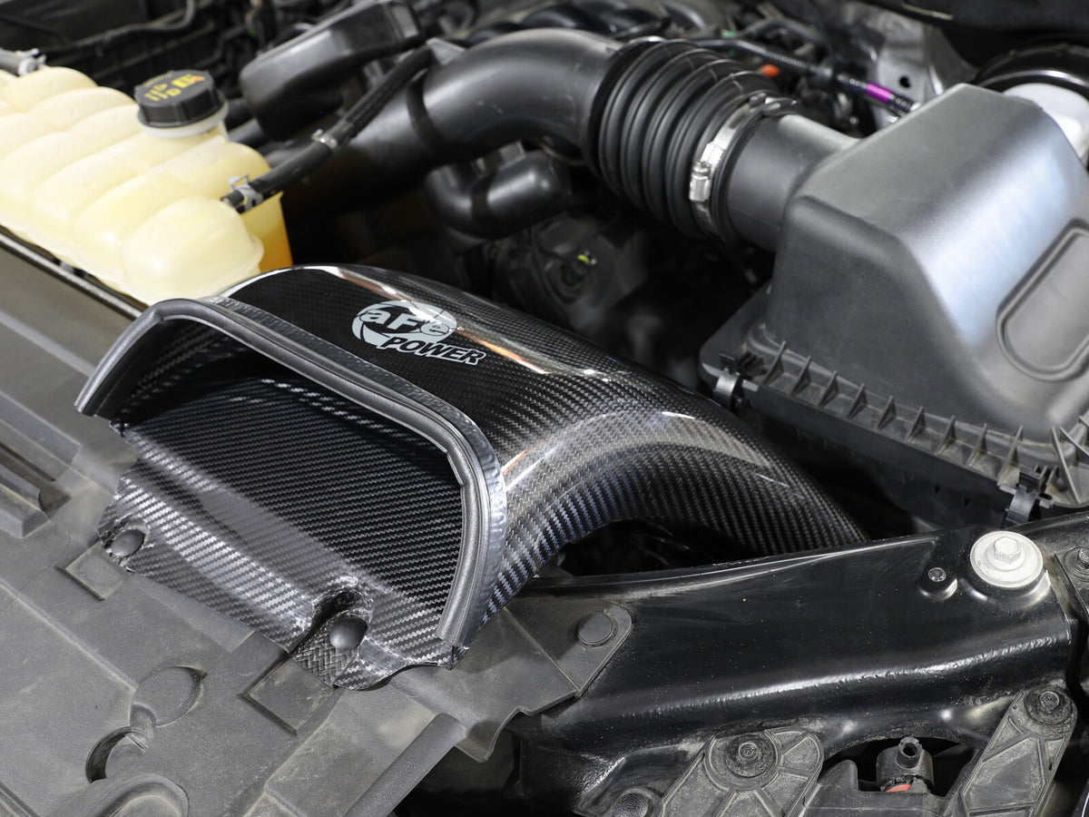 Dynamic Air Scoop D.A.S. Carbon Fiber Ford F-150/Raptor 15-20 V6-2.7L Twin Turbo/V6-3.5L Twin Turbo/V8-5.0L