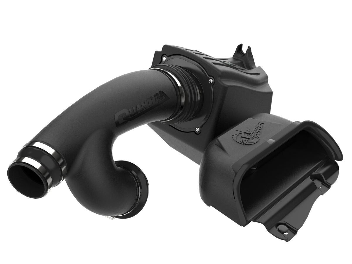Quantum Cold Air Intake System w/ Pro Dry S Filter Ford F-150/Raptor 15-26 V6-2.7L Twin Turbo/V6-3.5L Twin Turbo
