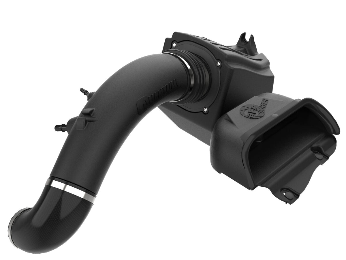 Quantum Cold Air Intake System w/ Pro Dry S Filter Ford F-150 15-20 V8-5.0L