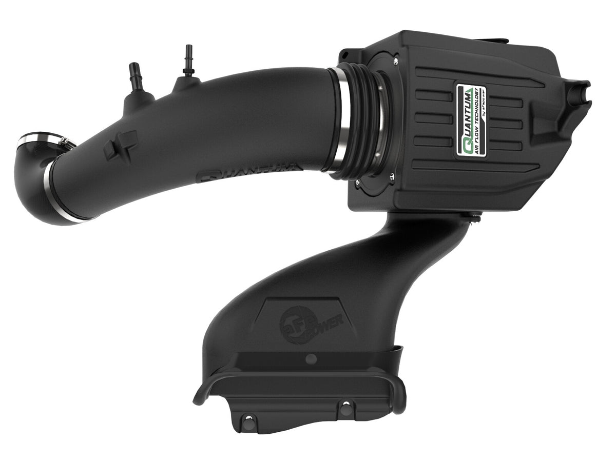 Quantum Cold Air Intake System w/ Pro Dry S Filter Ford F-150 15-20 V8-5.0L