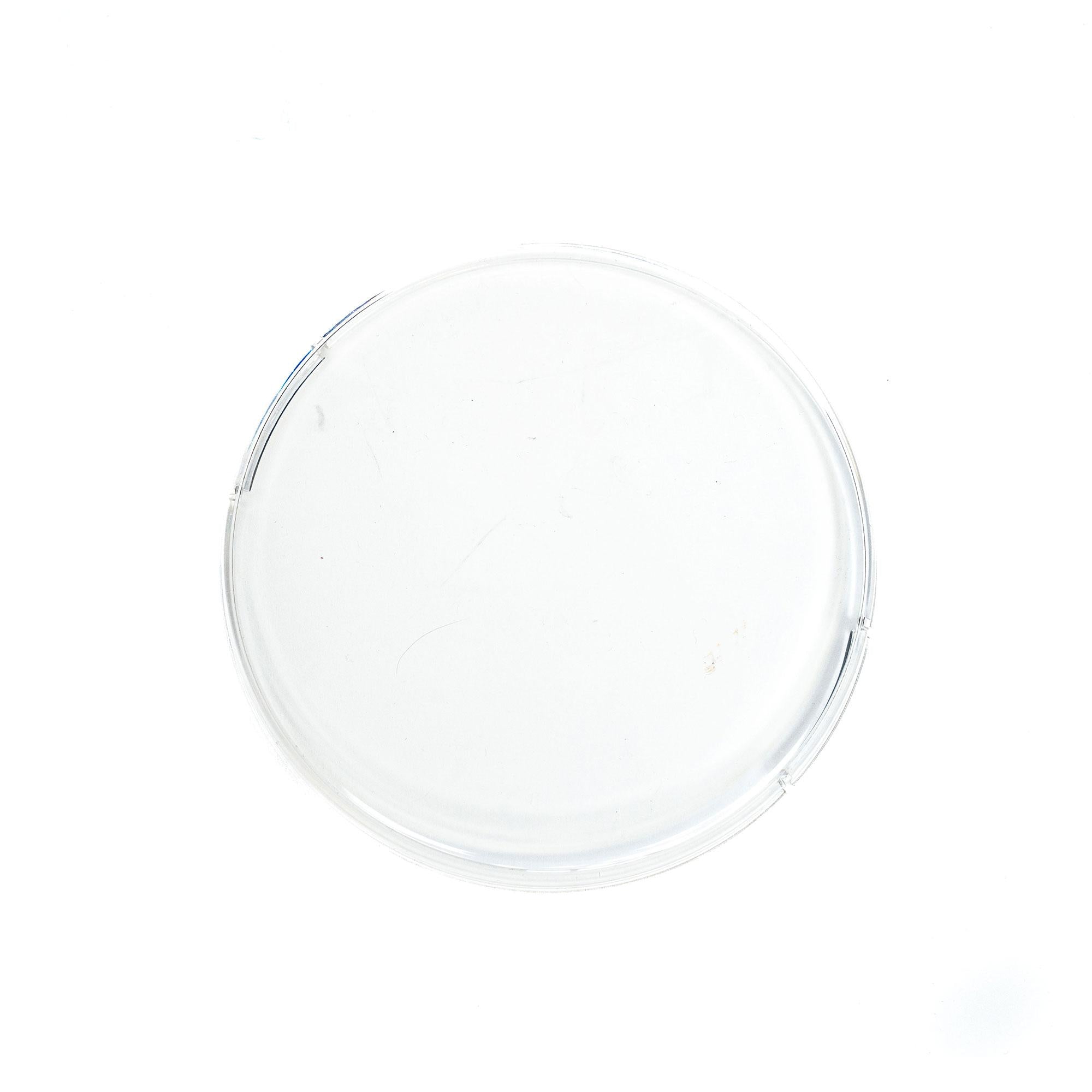 Squadron-R 2.0 Single Rock Guard Universal Clear Baja Designs