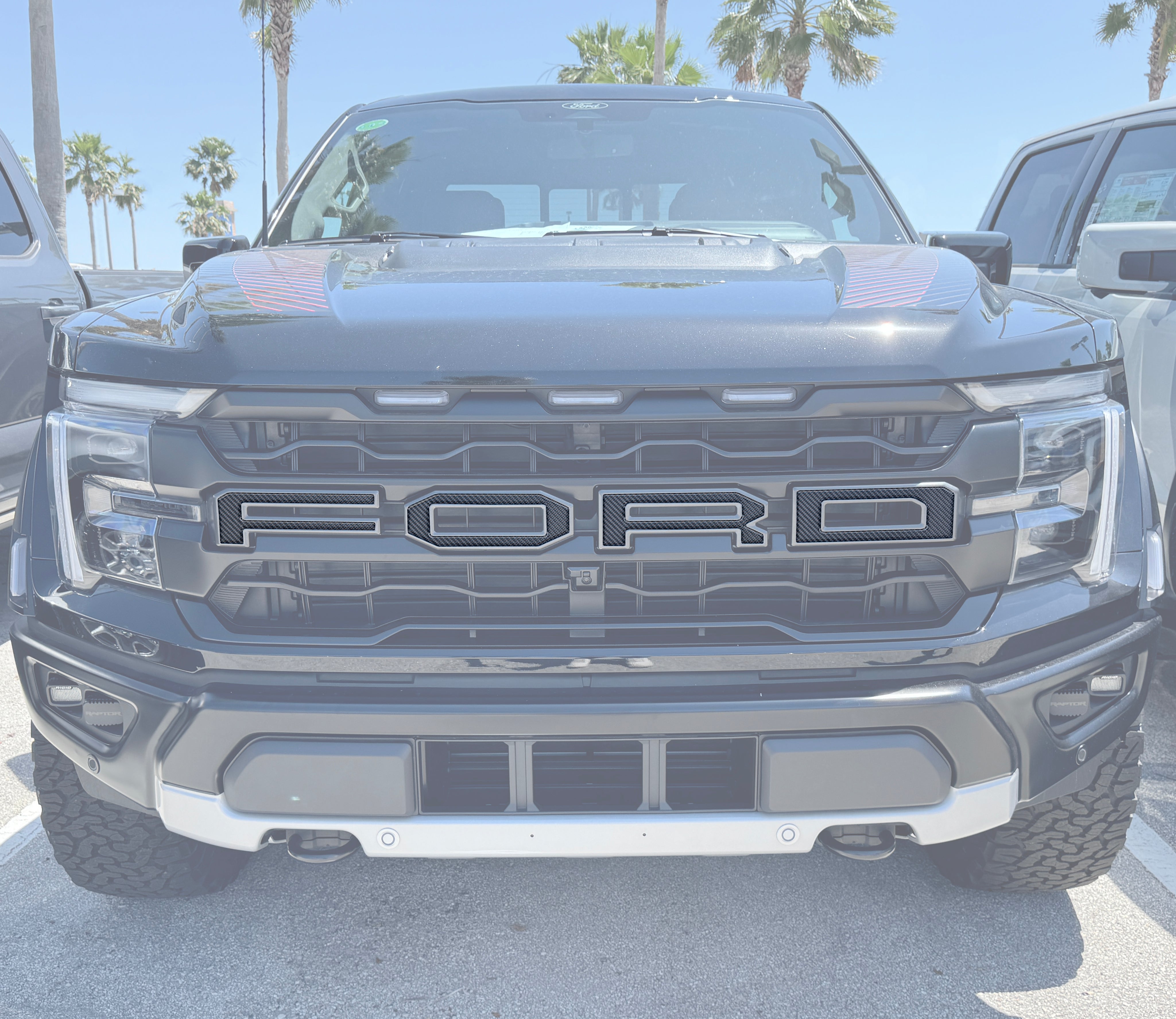 Raptor Front Grille Letters Fits 2021-2026 Ford F-150 Raptor