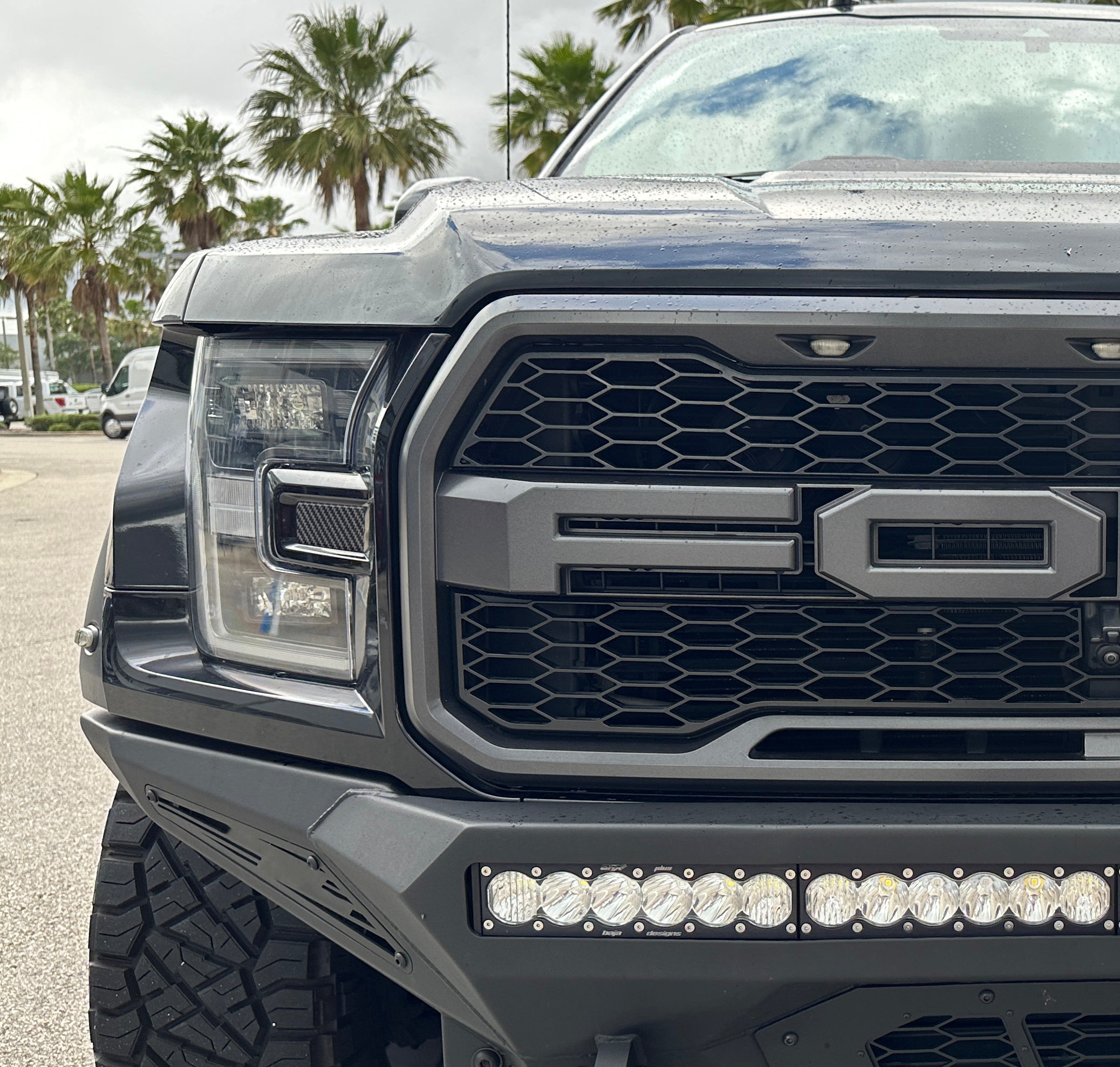 Side Headlight Molding Inserts Fits 2015-2020 Ford Raptor