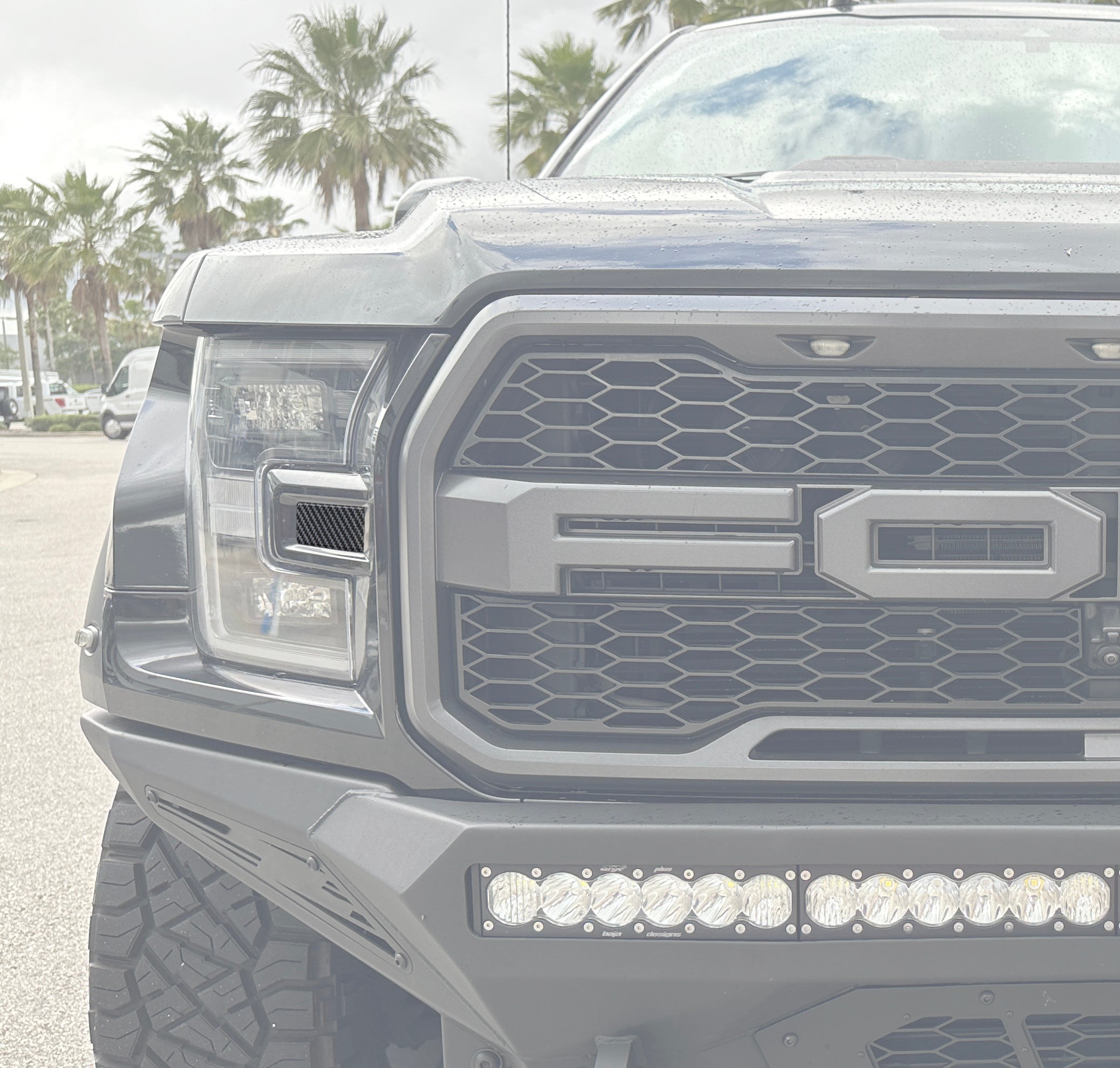 Side Headlight Molding Inserts Fits 2015-2020 Ford Raptor
