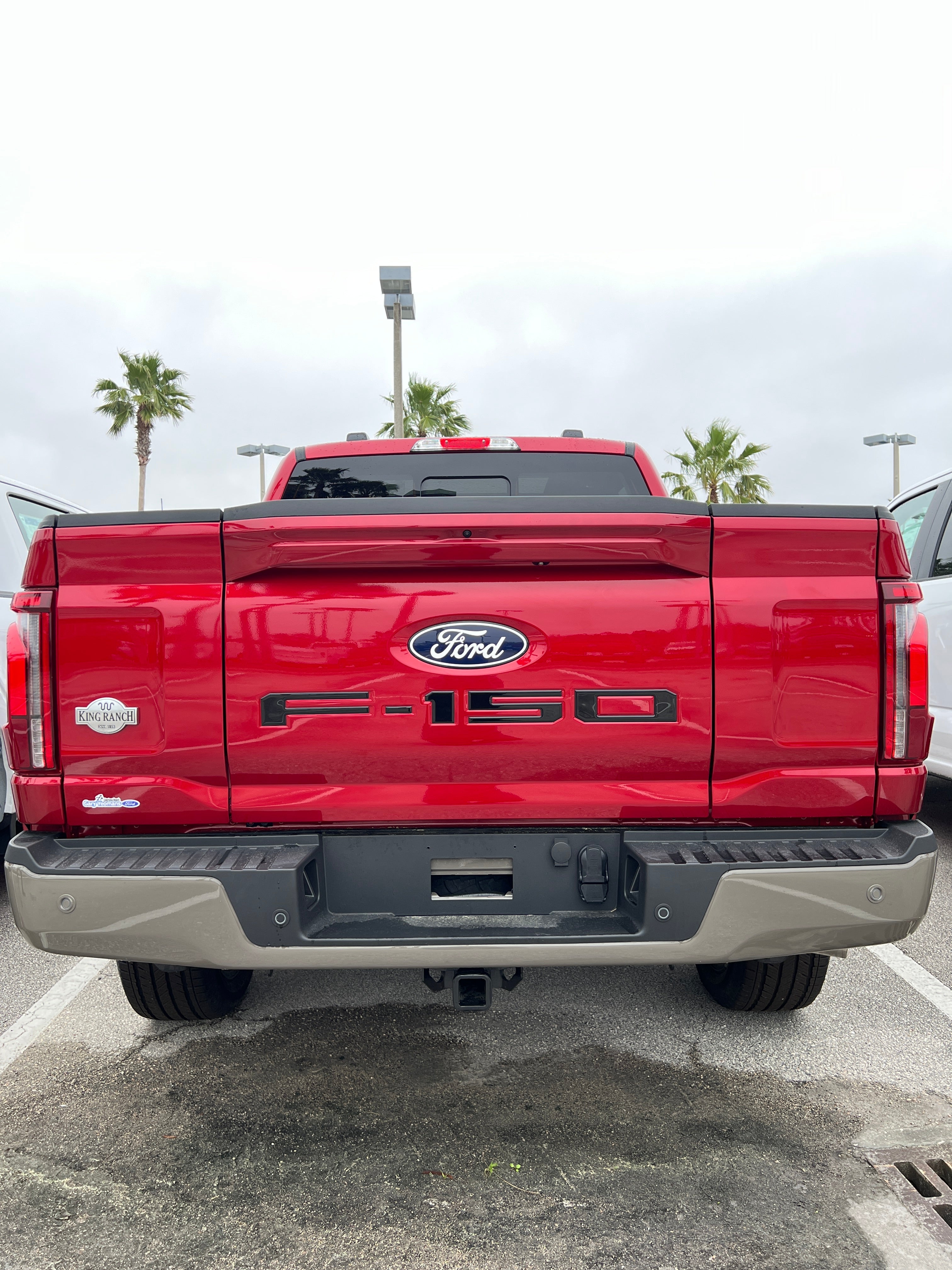 Tailgate Letter Inserts Fits 2021-2026 Ford F-150