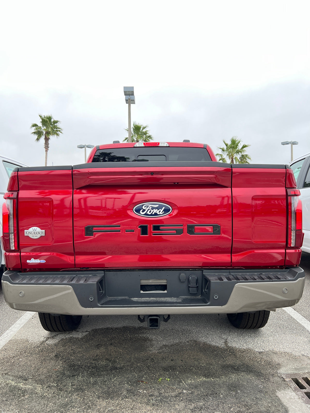Tailgate Letter Inserts Fits 2021-2026 Ford F-150