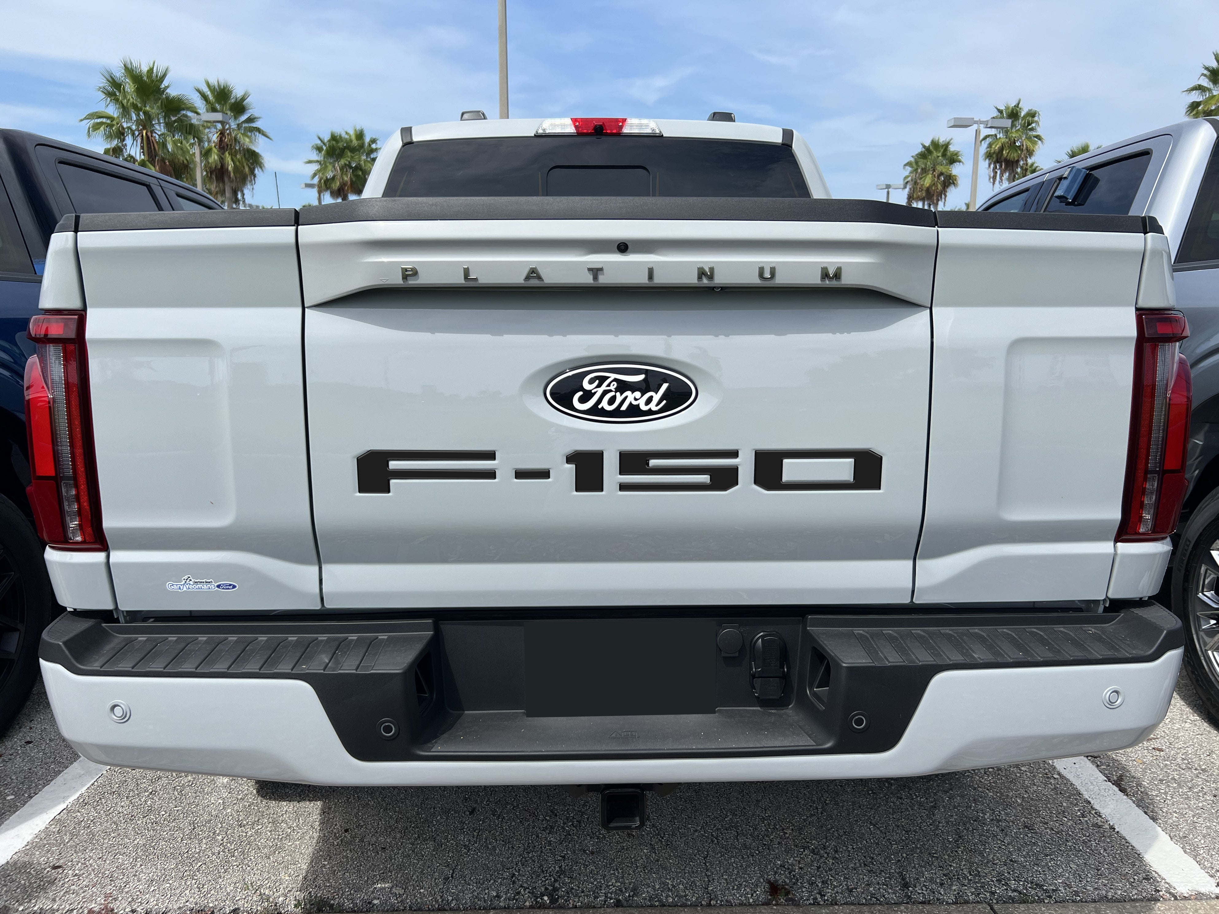Tailgate Letter Inserts Fits 2021-2026 Ford F-150