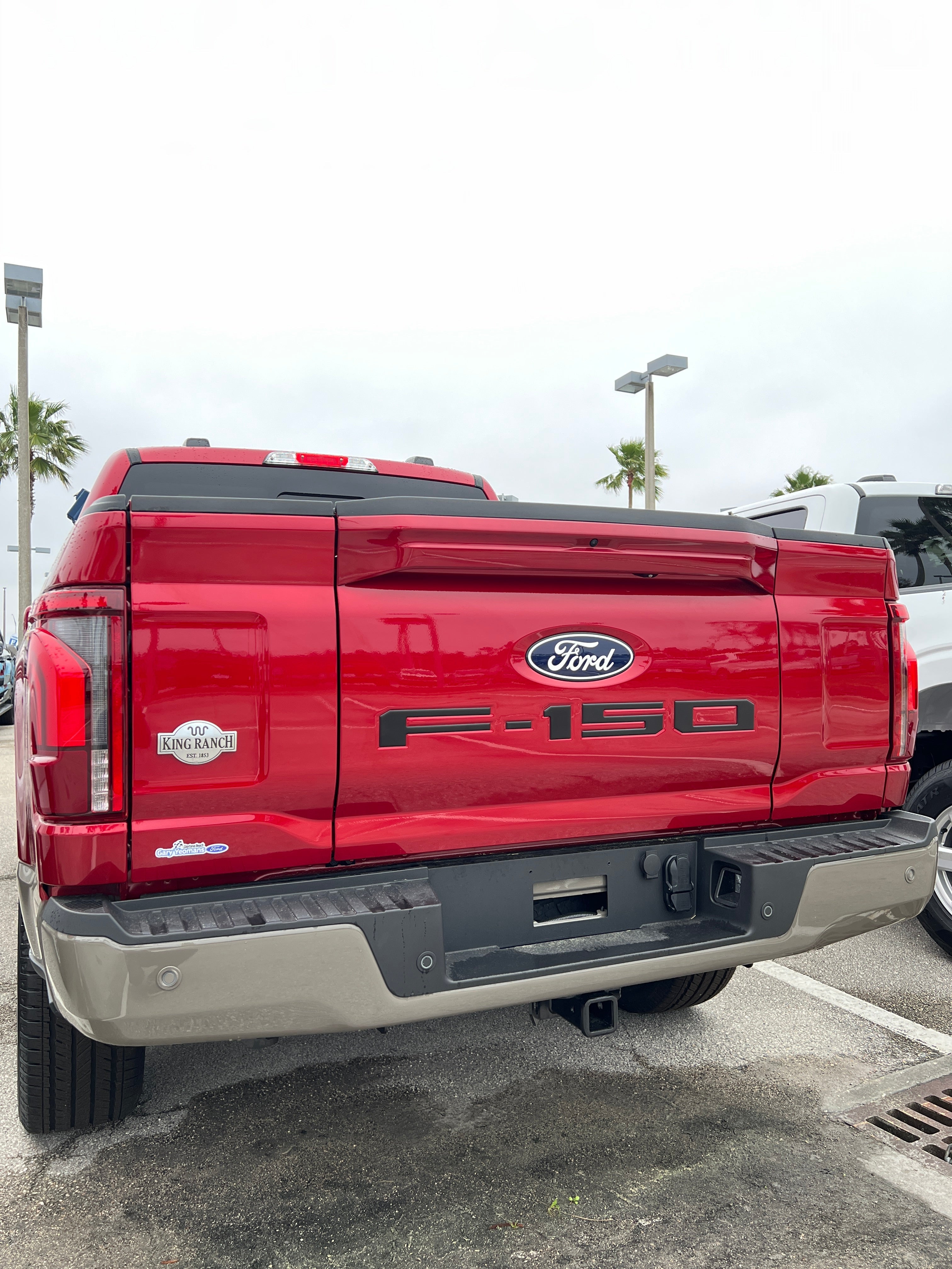 Tailgate Letter Inserts Fits 2021-2026 Ford F-150