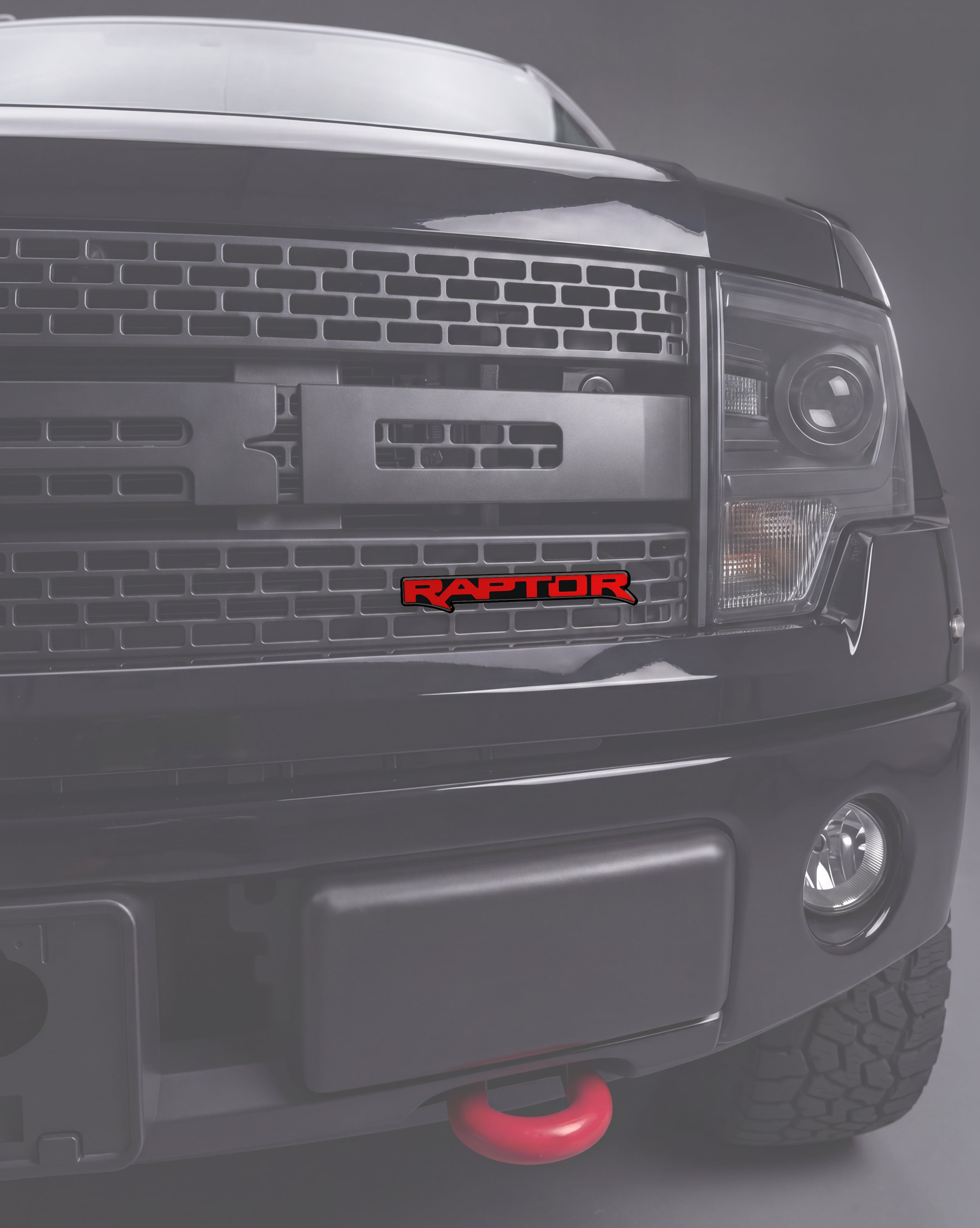 Raptor Universal Badge Overlays Fits - Ford
