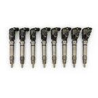LMM Torquemaster 10 Percent Over Injector New Core Charge Applies Of 1200 Set S&S Diesel