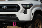 D Rings Pair DV8 Offroad