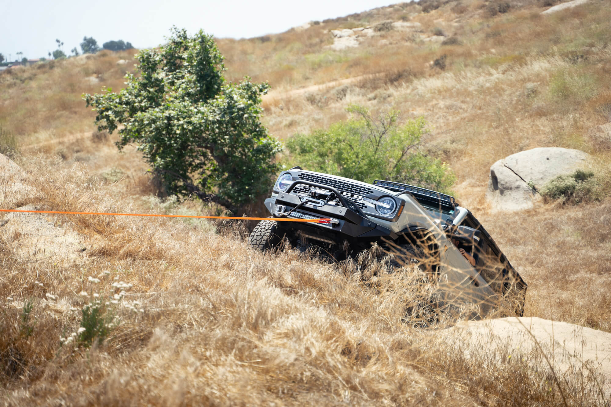 Black DV8 Elite Series D-Rings (Pair) - Apollo Off-Road