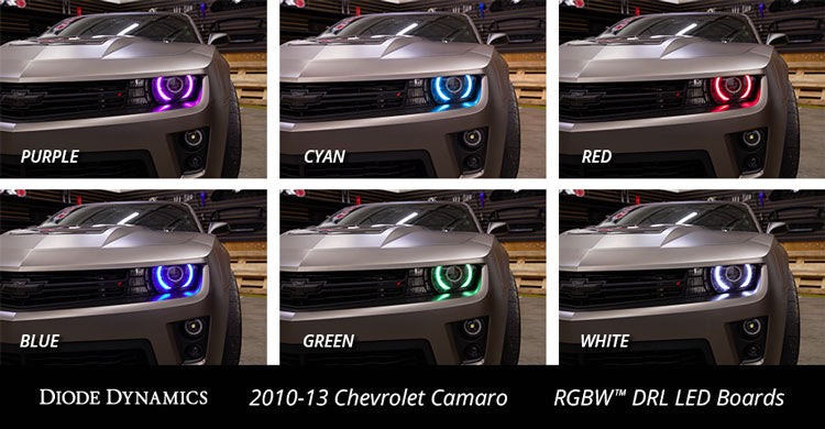 Diode Dynamics RGBW LED Boards for 10-13 RS/12-15 ZL1 Camaro