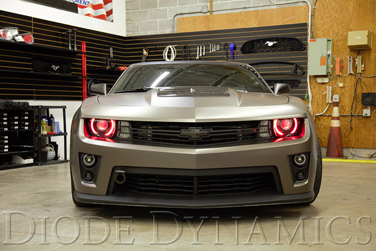 Diode Dynamics RGBW LED Boards for 10-13 RS/12-15 ZL1 Camaro