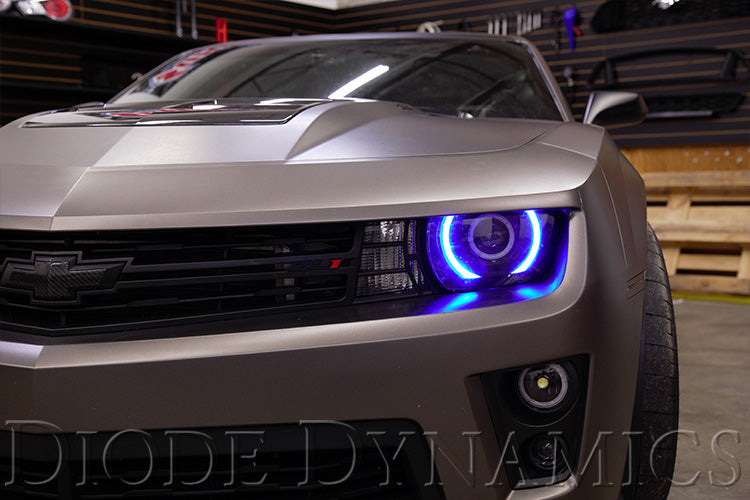 Diode Dynamics RGBW LED Boards for 10-13 RS/12-15 ZL1 Camaro