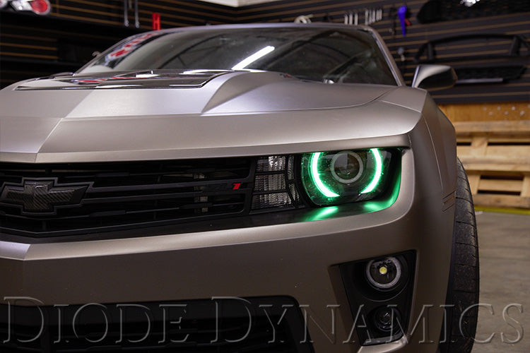 Diode Dynamics RGBW LED Boards for 10-13 RS/12-15 ZL1 Camaro