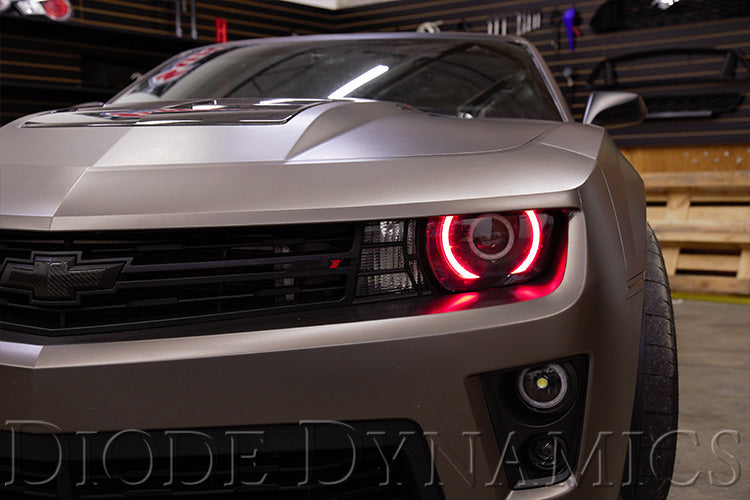 Diode Dynamics RGBW LED Boards for 10-13 RS/12-15 ZL1 Camaro