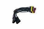 European Wiring Adapters: Ferrari F430 Tail Lights - Apollo Off-Road