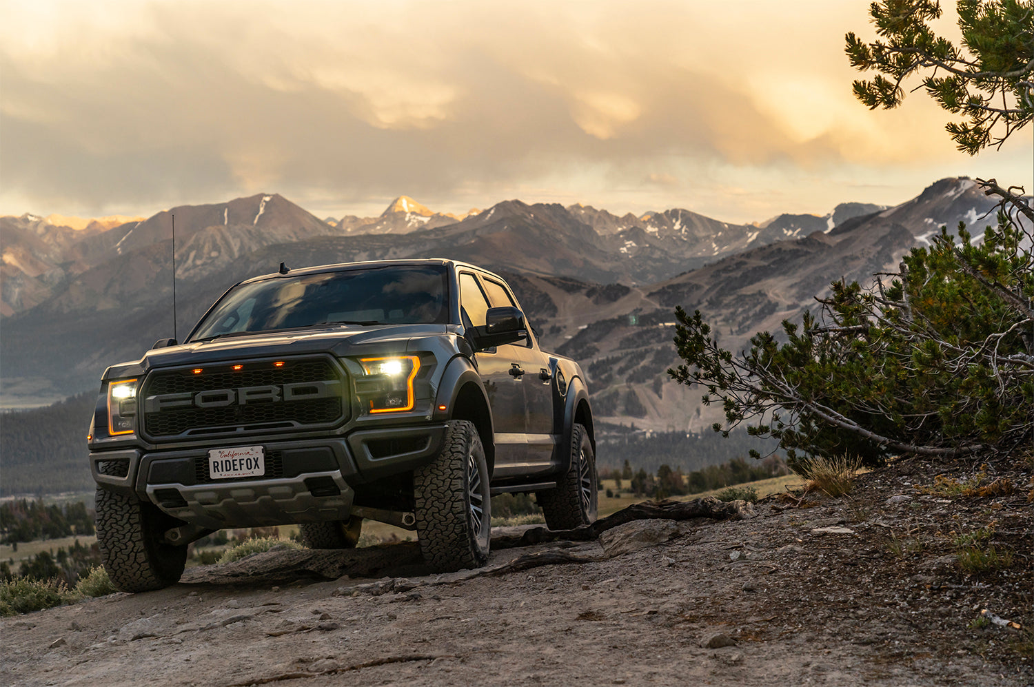 Fox 2019-2020 Ford Raptor Factory Race 3.0 Front Coilovers with Live Valve - Apollo Off-Road