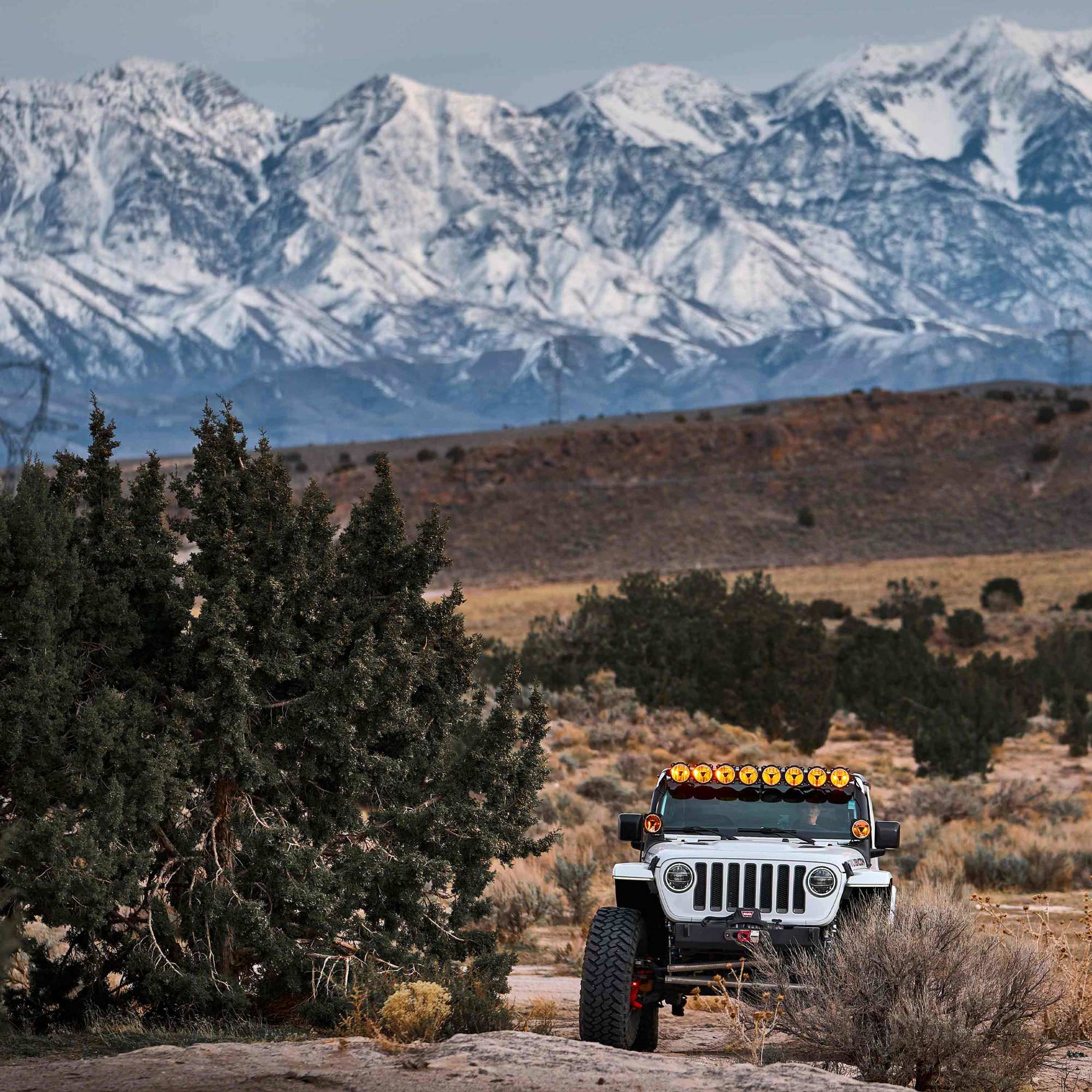 Gravity Titan 6" LED - Single Light - Wide-40 Beam - Apollo Off-Road