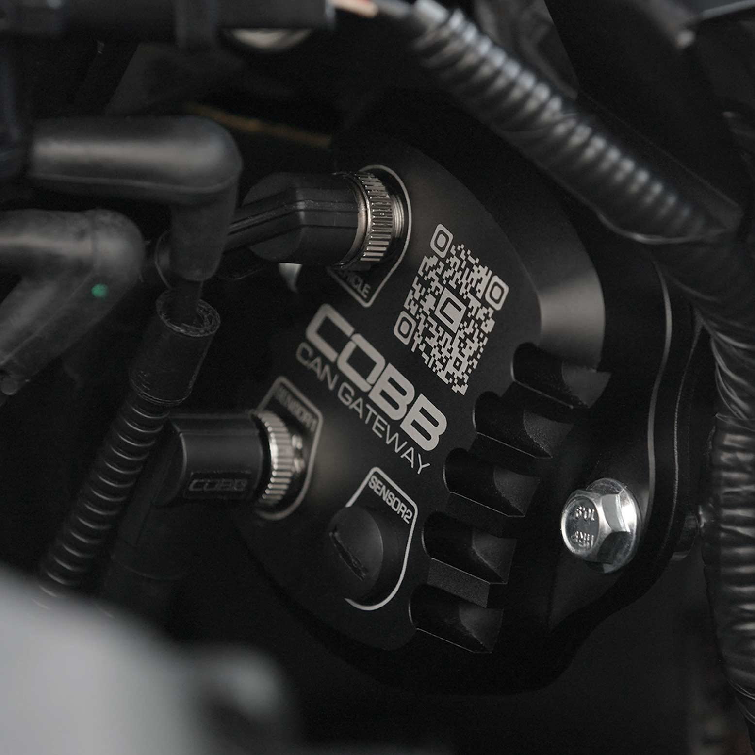 Ford CAN Flex Fuel Upgrade for F-150 EcoBoost Raptor