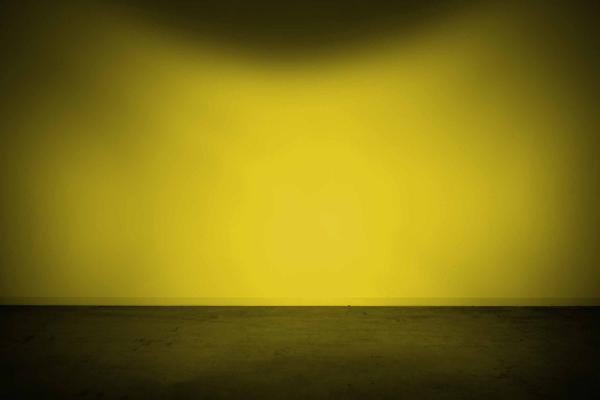 Lens Only: 4Banger (Yellow / Flood) - Apollo Off-Road