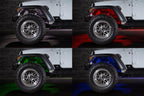 Morimoto Rock Light Kit (4-6-8) - Apollo Off-Road