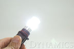 Diode Dynamics P13W HP48 LED Cool White (pair)