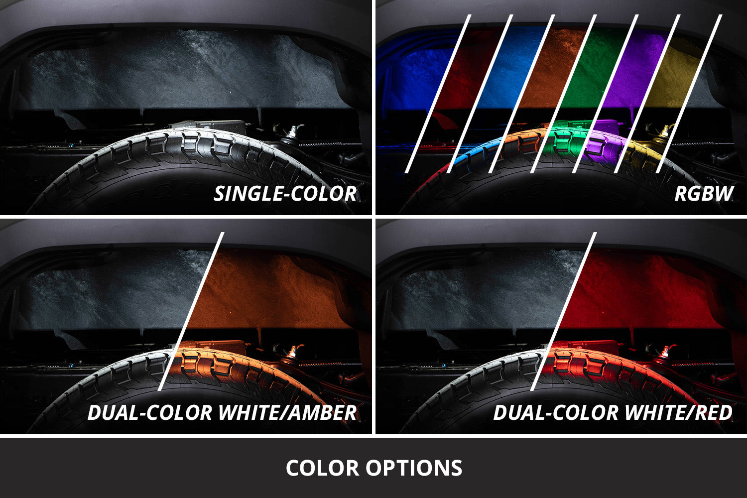 Diode Dynamics Rock Light Red/White M8 8-Pack