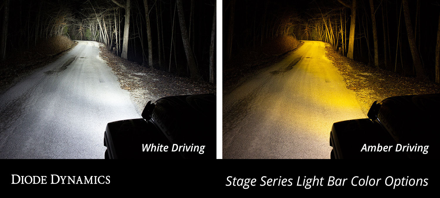 Diode Dynamics SS12 LED Fog Light Kit for 2017-2020 Ford Raptor White Driving