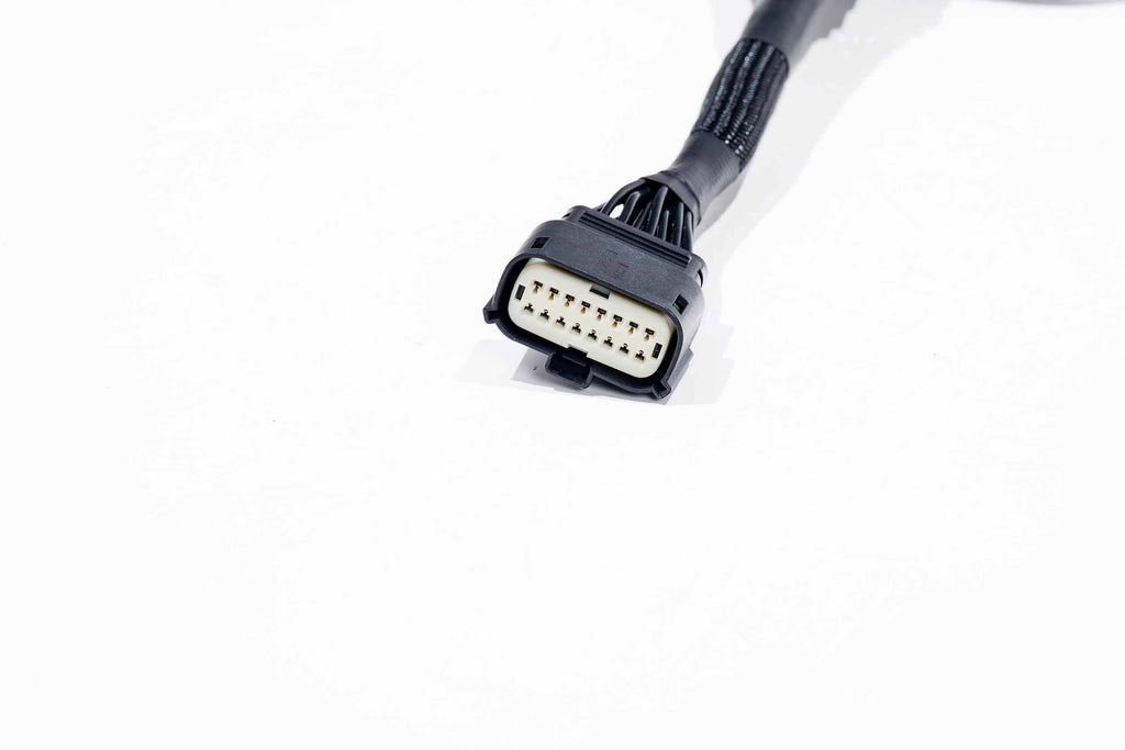 XBG Adapter Harness: 21+ F150 OE Projector LED - Apollo Off-Road