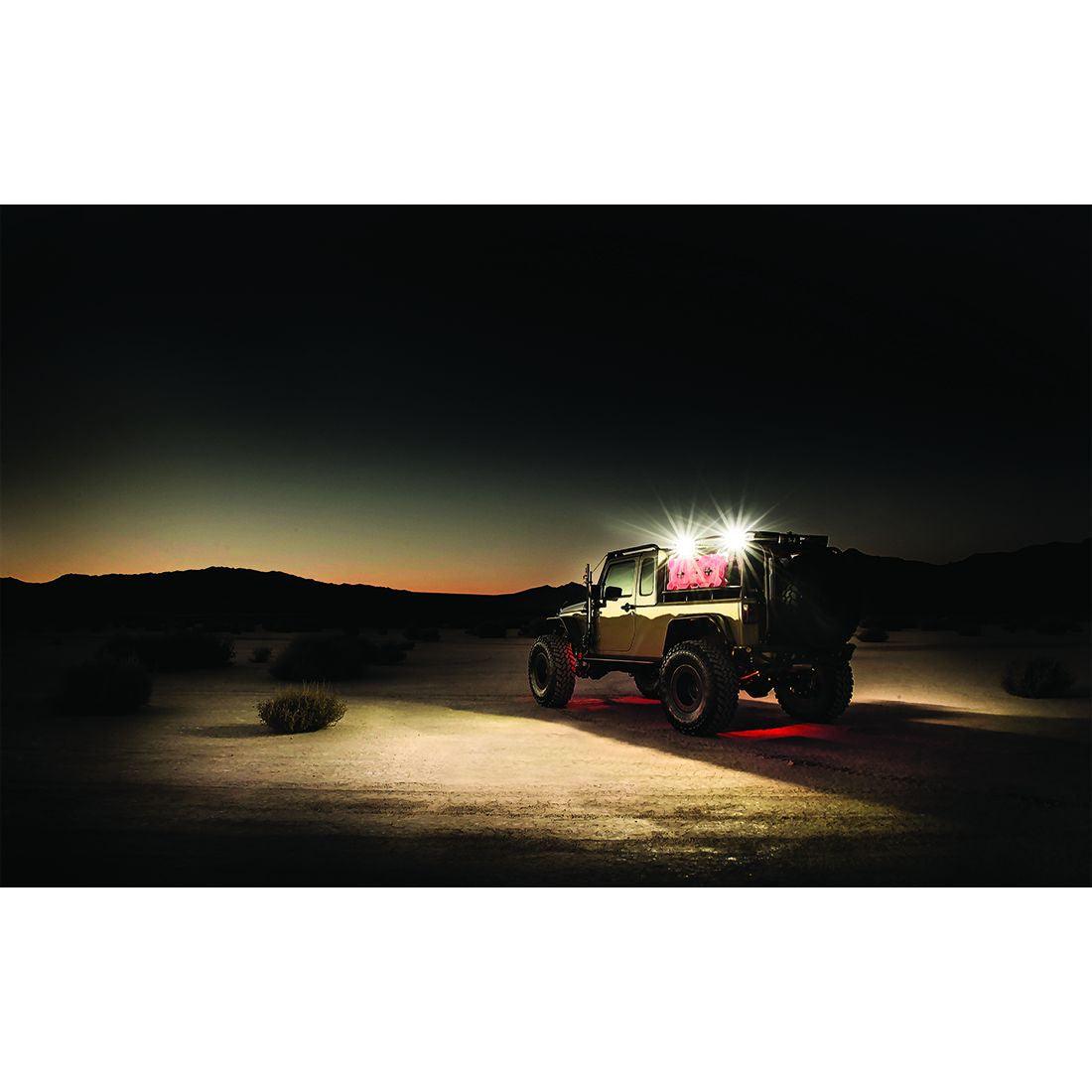 RIGID Industries 1x2 65 Degree DC LED Scene Light, Black Housing, Single - Apollo Optics