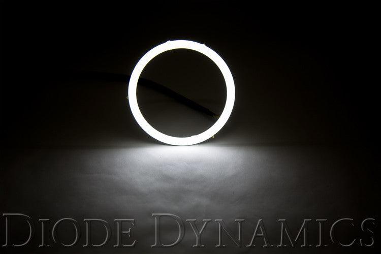 Diode Dynamics Halo Lights LED 110mm White Four - Apollo Optics