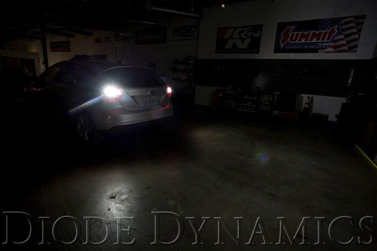 Diode Dynamics Backup LEDs for 2000-2018 Ford Focus (Pair) HP5 (92 Lumens) - Apollo Off-Road
