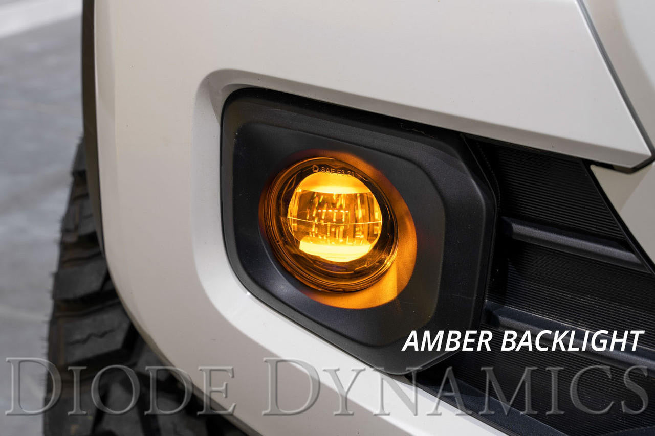 Diode Dynamics Elite Series Type B Fog Lamps, White Pair - Apollo Off-Road